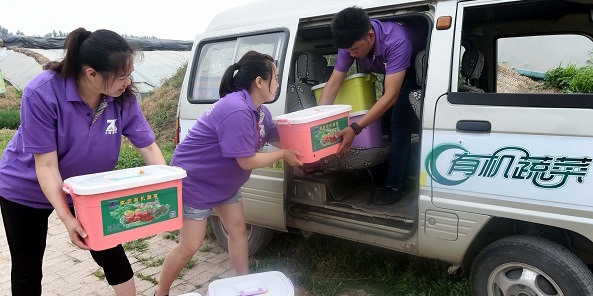 蔬菜配送公司短信宣傳方案